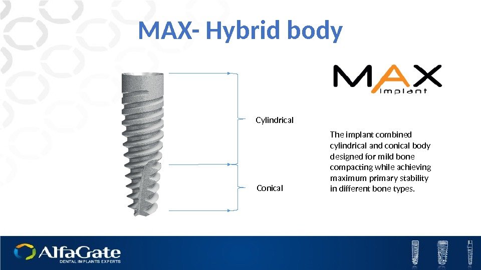 MAX- Hybrid body Cylindrical  Conical  The implant combined cylindrical and conical body