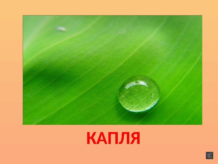 КАПЛЯ 