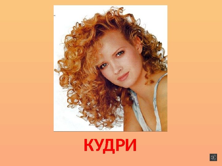 КУДРИ 