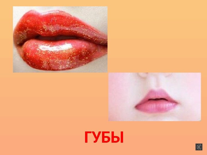 ГУБЫ  