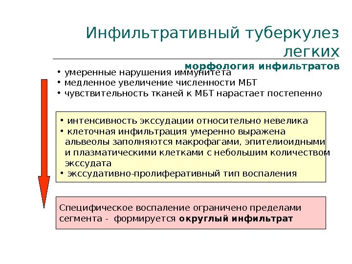 Инфильтративный туберкулез легких морфология инфильтратов  •  умеренные нарушения иммунитета •  медленное