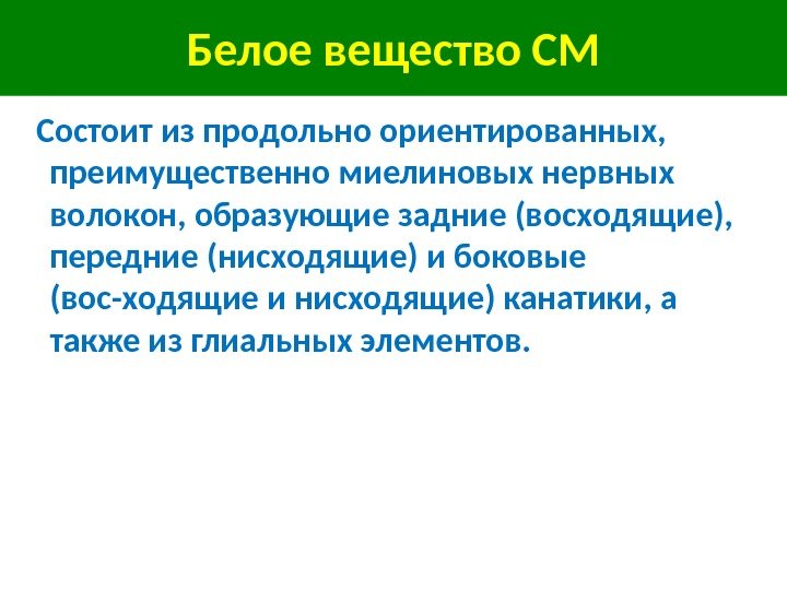  Белое вещество СМ Состоит из продольно ориентированных,  преимущественно миелиновых нервных волокон, образующие