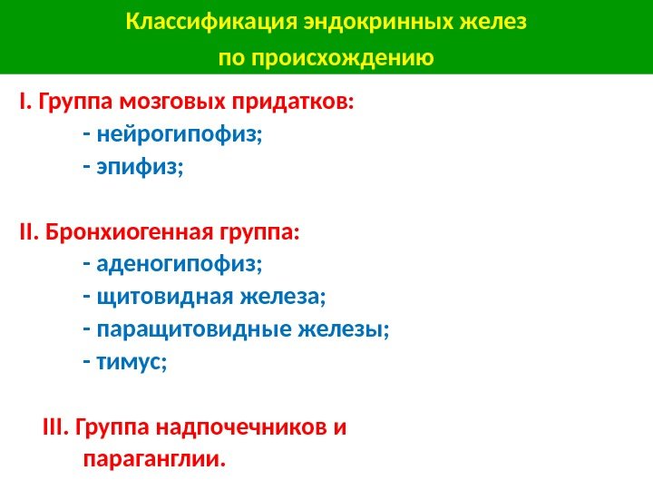 I. Группа мозговых придатков:   - нейрогипофиз;   - эпифиз; II. Бронхиогенная