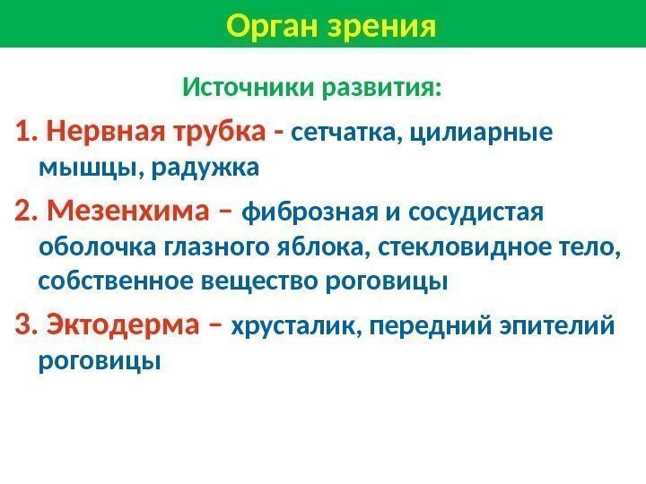       Источники развития:  1. Нервная трубка - сетчатка,