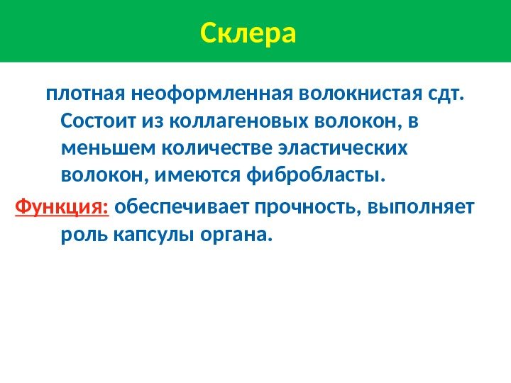 Склера   плотная неоформленная волокнистая сдт.  Состоит из коллагеновых волокон, в меньшем