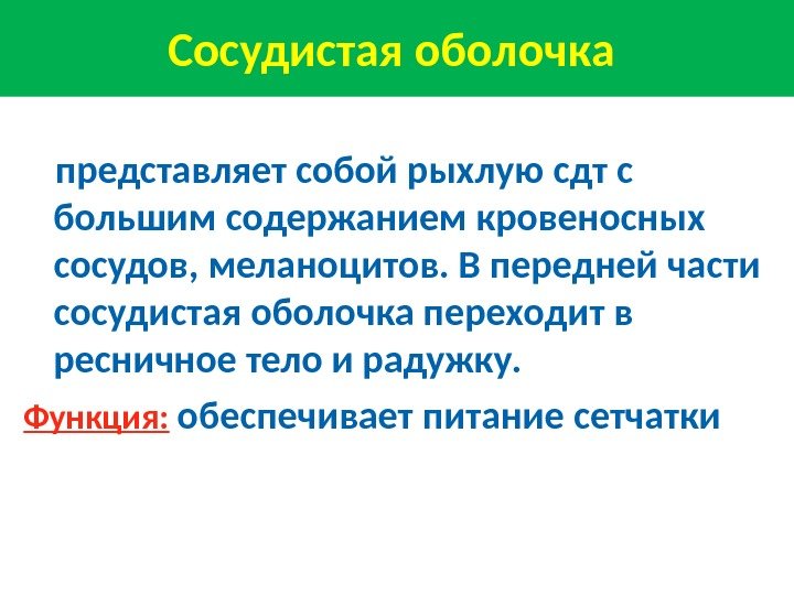 Сосудистая оболочка  представляет собой рыхлую сдт с большим содержанием кровеносных сосудов, меланоцитов. В