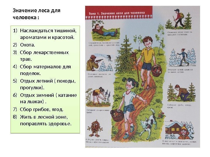 Значение леса для человека : 1) Наслаждаться тишиной,  ароматами и красотой. 2) Охота.