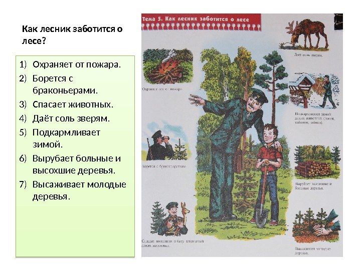 Как лесник заботится о лесе? 1) Охраняет от пожара. 2) Борется с браконьерами. 3)