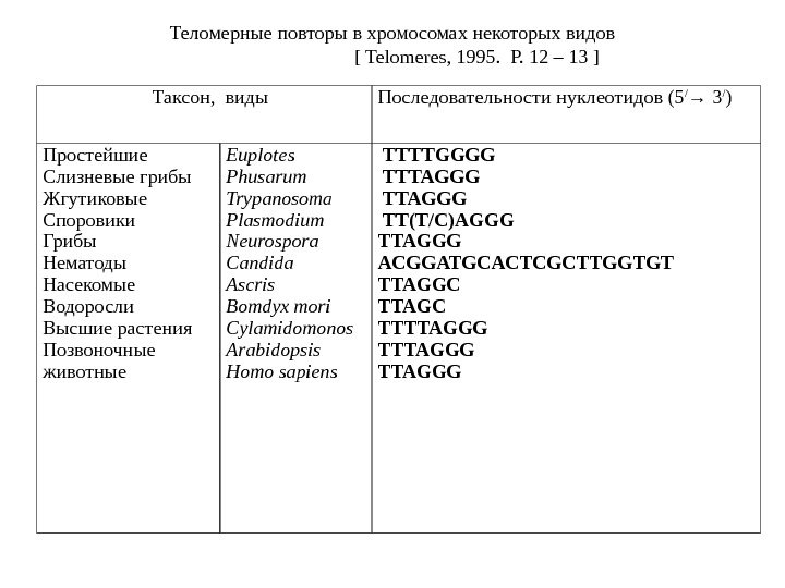 Теломерные повторы в хромосомах некоторых видов      [ Telomeres, 1995.