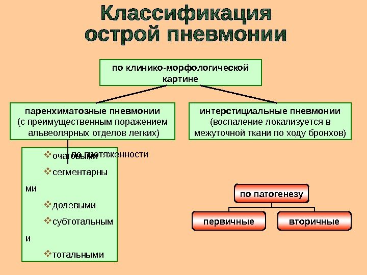   очаговыми сегментарны ми долевыми субтотальным и тотальными по клинико-морфологической картине паренхиматозные пневмонии