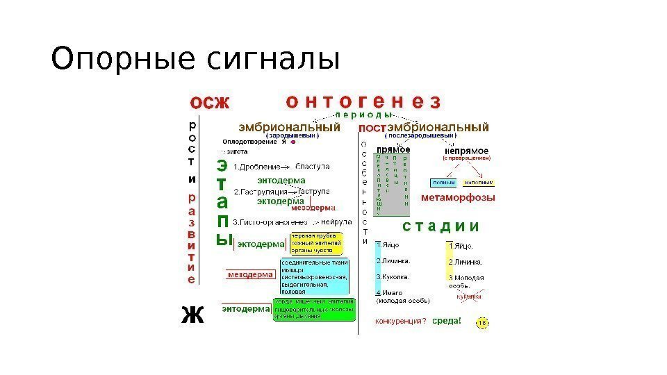 Опорные сигналы 