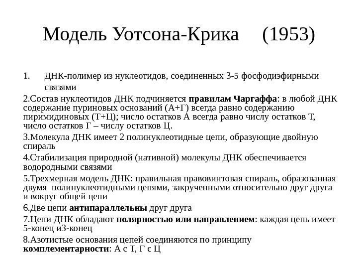 Модель Уотсона-Крика (1953) 1.  ДНК-полимер из нуклеотидов, соединенных 3 -5 фосфодиэфирными  связями