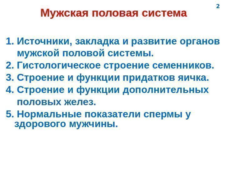   Мужская половая система 1. Источники, закладка и развитие органов мужской половой системы.