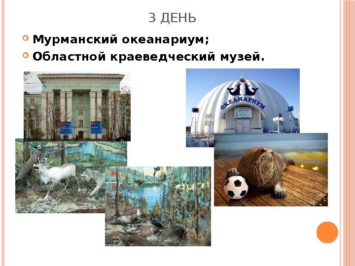 3 ДЕНЬ  Мурманский океанариум;  Областной краеведческий музей. 