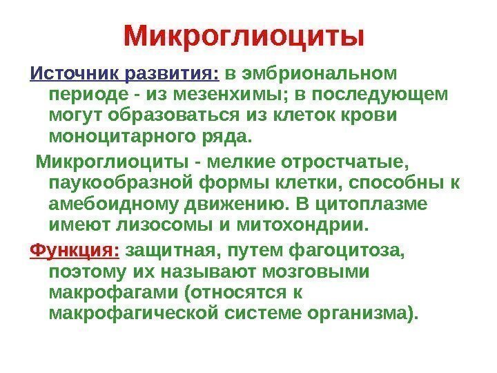   Микроглиоциты Источник развития:  в эмбриональном периоде - из мезенхимы; в последующем