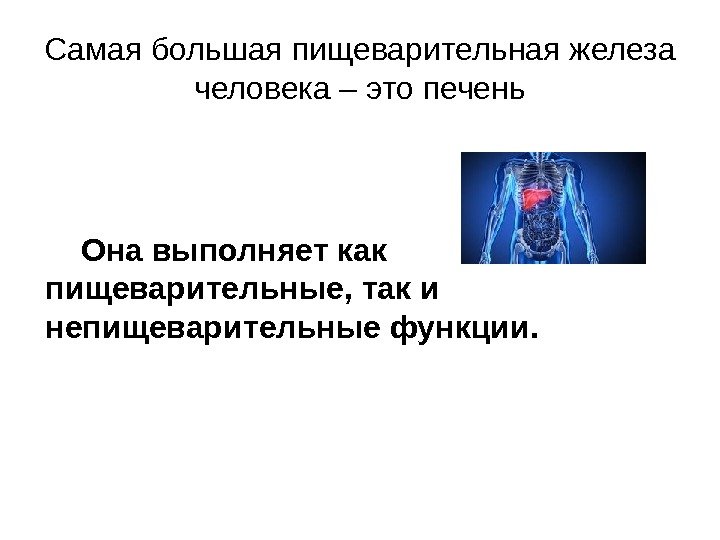 Самая большая пищеварительная железа человека – это печень Она выполняет как пищеварительные, так и