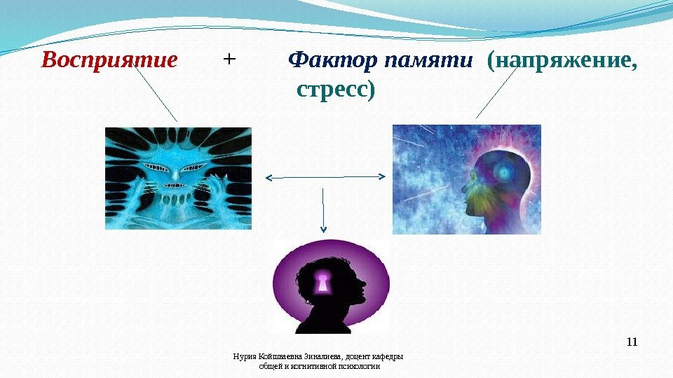  Восприятие +   Фактор памяти  (напряжение,  стресс) Нурия Койшваевна Зиналиева,