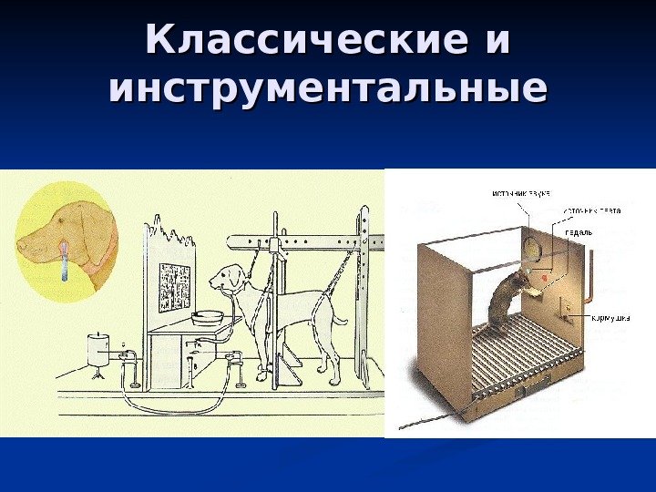   Классические и инструментальные 