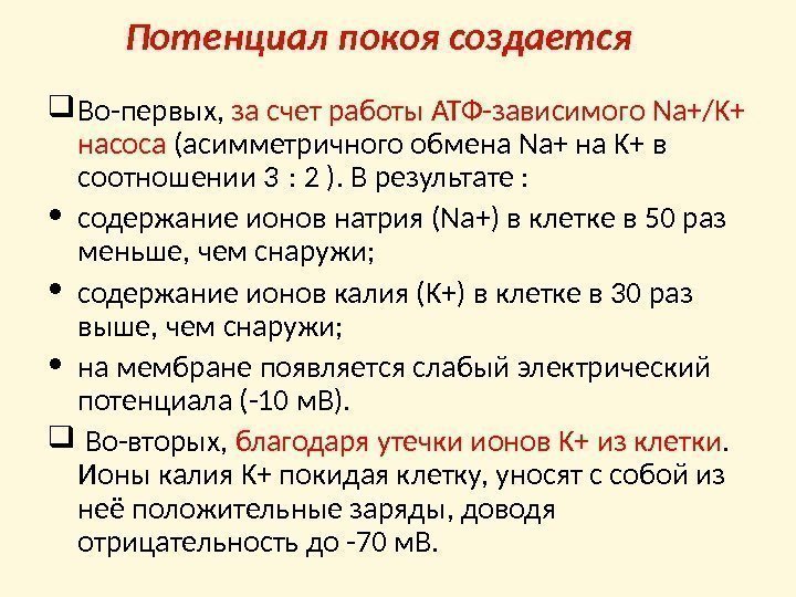 Потенциал покоя создается Во-первых,  за счет работы АТФ-зависимого Na+/K+ насоса (асимметричного обмена Na+