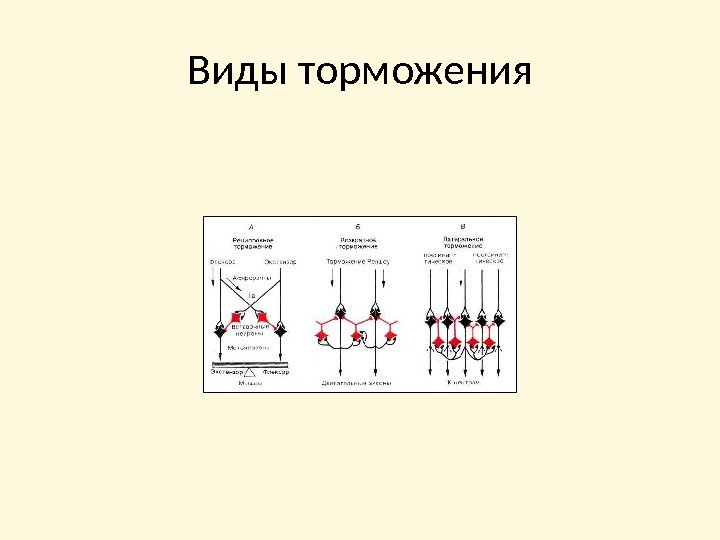 Виды торможения 