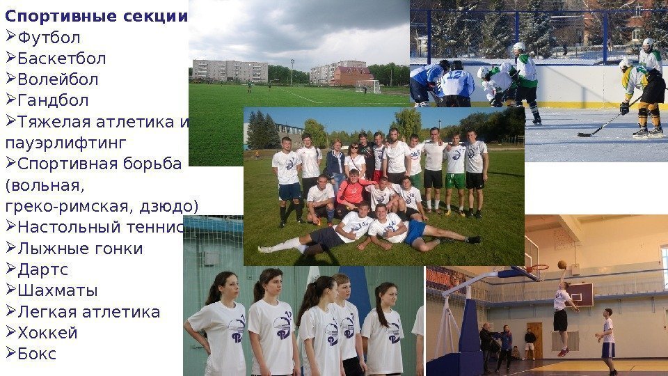 Спортивные секции Футбол Баскетбол Волейбол Гандбол Тяжелая атлетика и пауэрлифтинг Спортивная борьба (вольная, Спортивные секции Футбол Баскетбол Волейбол Гандбол Тяжелая атлетика и пауэрлифтинг Спортивная борьба (вольная,