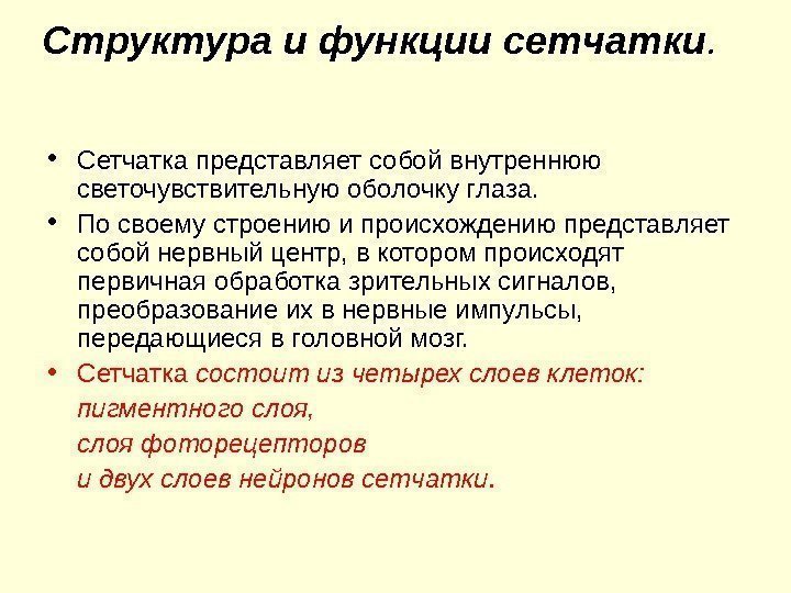 Структура и функции сетчатки.  • Сетчатка представляет собой внутреннюю светочувствительную оболочку глаза. 