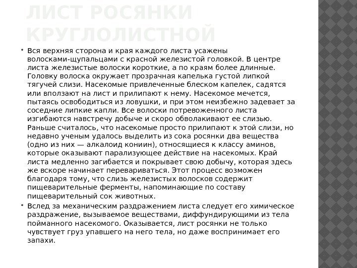 ЛИСТ РОСЯНКИ КРУГЛОЛИСТНОЙ Вся верхняя сторона и края каждого листа усажены волосками-щупальцами с красной