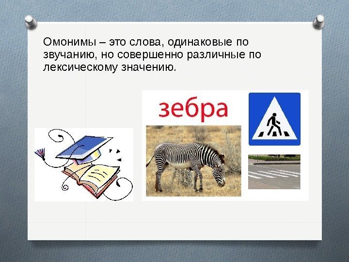 Омонимы – это слова, одинаковые по звучанию, но совершенно различные по лексическому значению. 