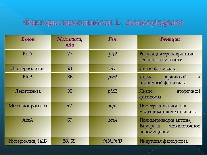 Белок Мол. масса, к. Да Ген Функции Prf. A 27 prf. A Регуляция транскрипции