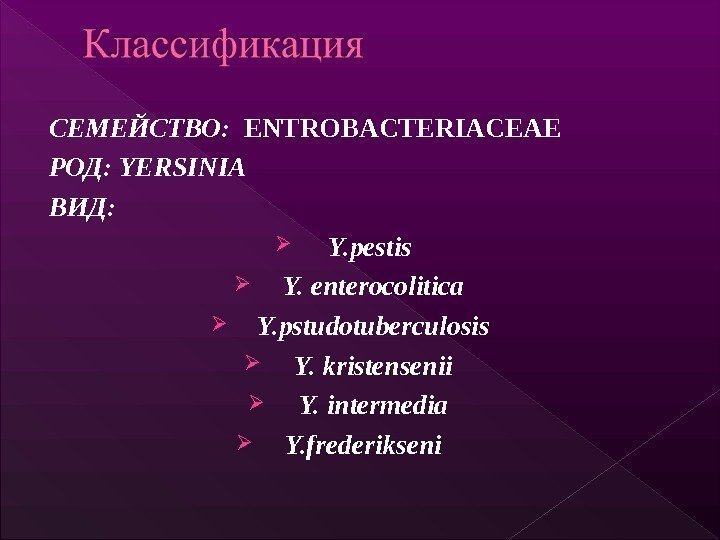 СЕМЕЙСТВО: ENTROBACTERIACEAE  РОД : YERSINIA ВИД :  Y. pestis  Y. enterocolitica