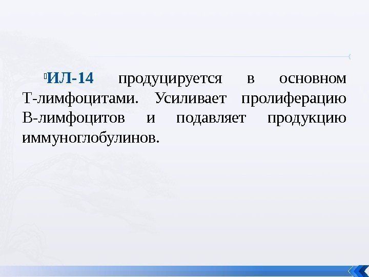  ИЛ-14  продуцируется в основном Т-лимфоцитами.  Усиливает пролиферацию В-лимфоцитов и подавляет продукцию