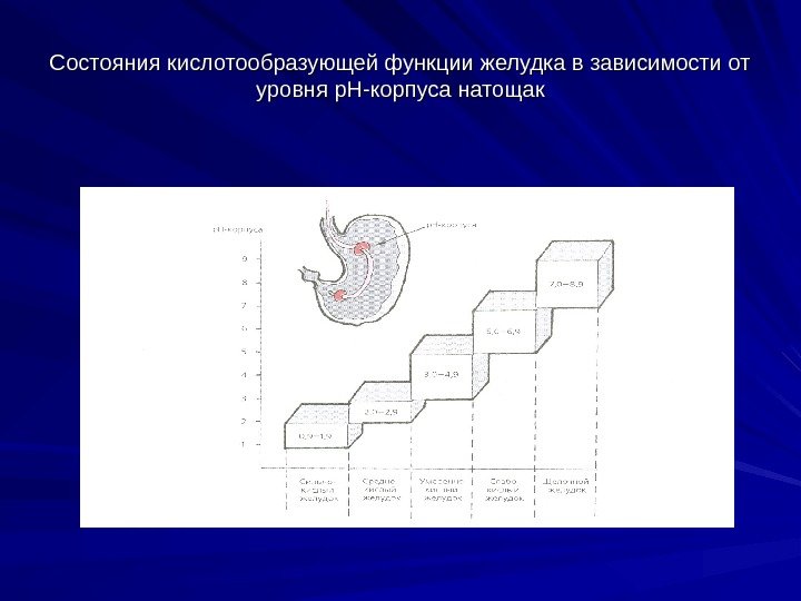 Состояния кислотообразующей функции желудка в зависимости от уровня р. Н-корпуса натощак 