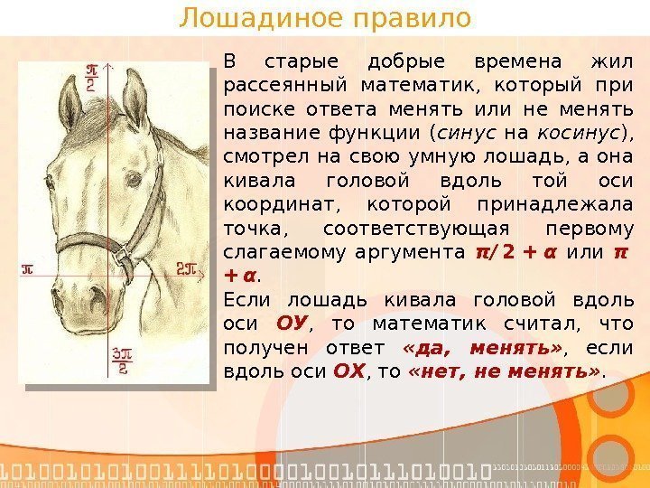 Лошадиное правило В старые добрые времена жил рассеянный математик,  который при поиске ответа