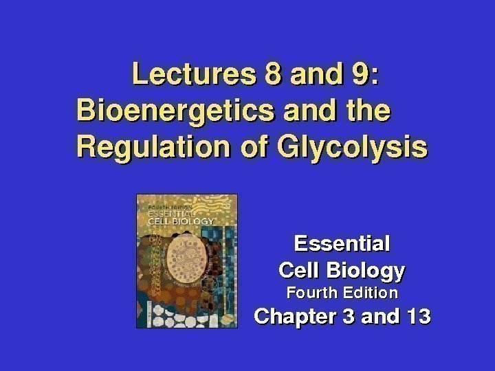Lectures 8 and 9: Bioenergeticsandthe Regulationof. Glycolysis Essential Cell. Biology Fourth. Edition Chapter 3