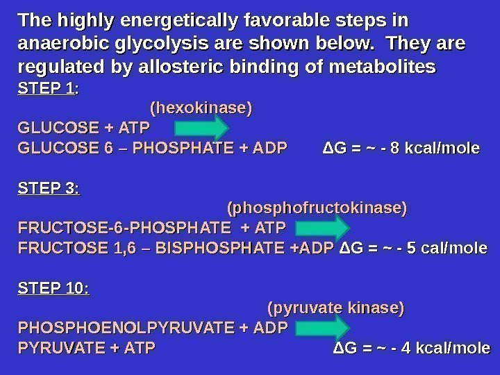 The highly energetically favorable steps in anaerobic glycolysis are shown below.  They are