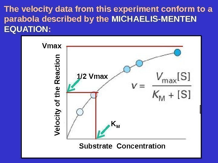 The velocity data from this experiment conform to a parabola described by the MICHAELIS-MENTEN