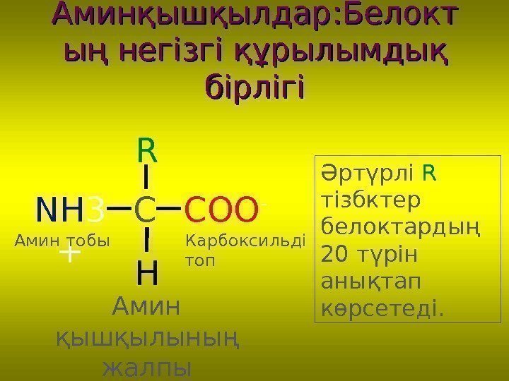 Аминқышқылдар : : Белокт ыңың  негізгі құрылымдық бірлігі COO - NH 3 +