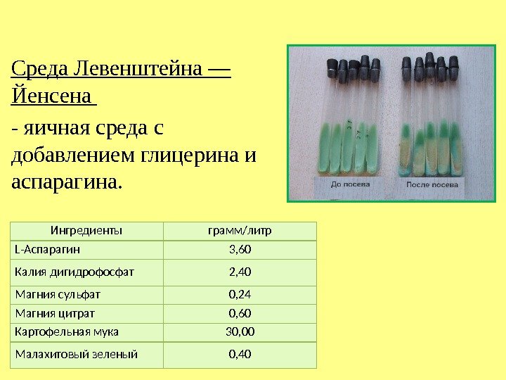 Среда Левенштейна — Йенсена - яичная среда с добавлением глицерина и аспарагина. Ингредиенты грамм/литр