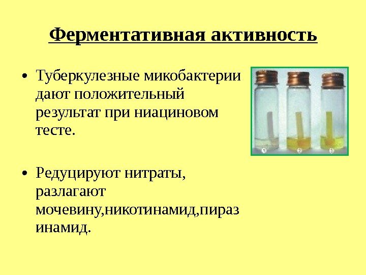 Ферментативная активность • Туберкулезные микобактерии дают положительный результат при ниациновом тесте.  • Редуцируют