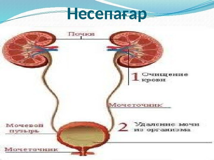 Несепағар 