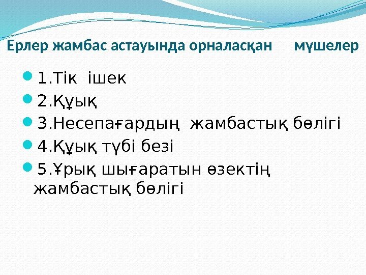 Ерлер жамбас астауында орналасқан мүшелер 1. Тік ішек  2. Құық 3. Несепағардың жамбастық