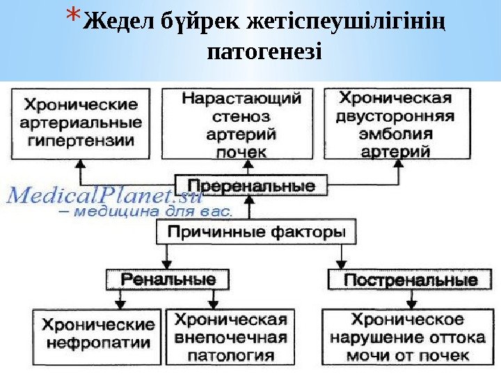 * Жедел б йрек жетіспеушілігіні ү ң патогенезі 