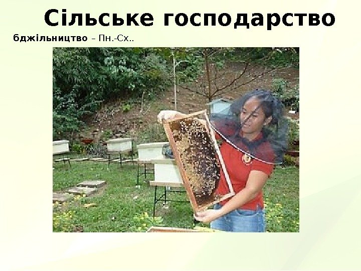 Сільське господарство бджільництво – Пн. -Сх. . 