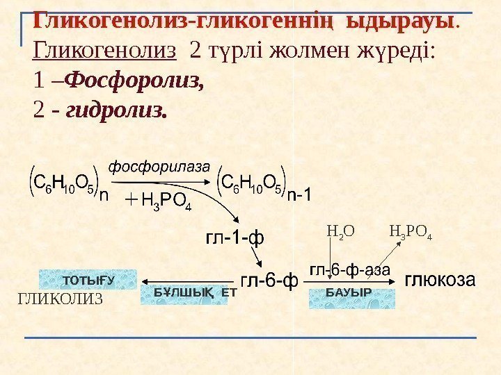 Н 2 О  Н 3 РО 4 ГЛИКОЛИЗ Гликогенолиз-гликогенні  ыдырауың.  Гликогенолиз