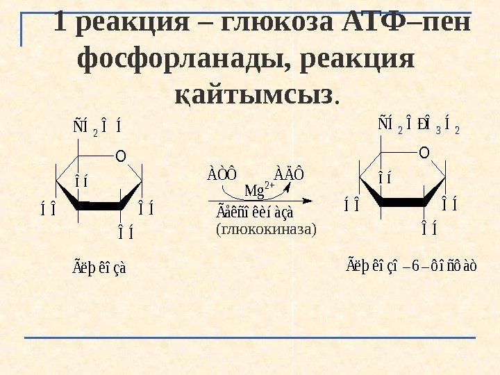 1 реакция – глюкоза АТФ–пен  фосфорланады, реакция айтымсызқ. Î Í  O Î