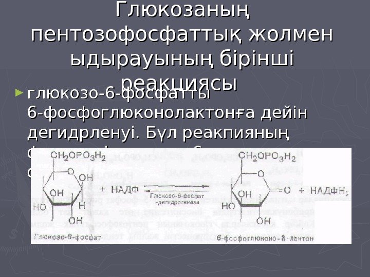   Глюкозаның пентозофосфаттық жолмен ыдырауының бірінші реакциясы  ► глюкозо-6 -фосфатты 6 -фосфоглюконолактонға