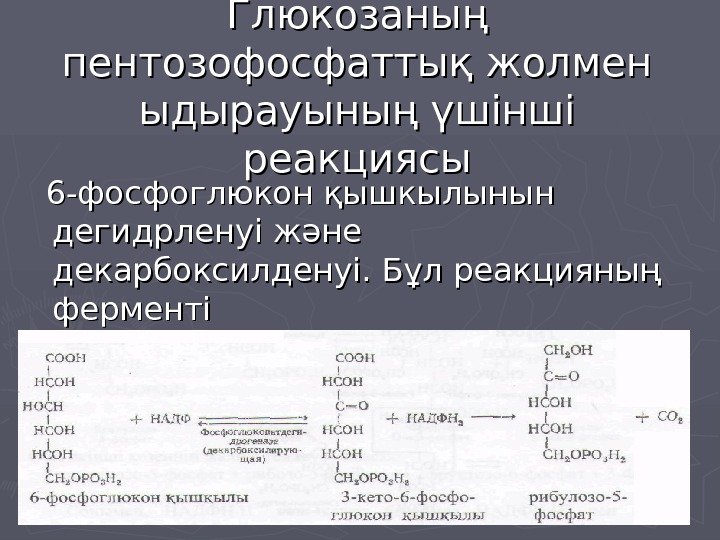   Глюкозаның пентозофосфаттық жолмен ыдырауының үшінші реакциясы 6 -фосфоглюкон қышкылынын дегидрленуі және декарбоксилденуі.