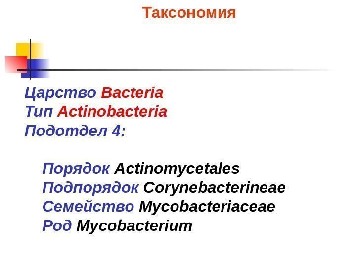 Царство Bacteria  Тип Actinobacteria  Подотдел 4:  Бактерии с высоким  содержания