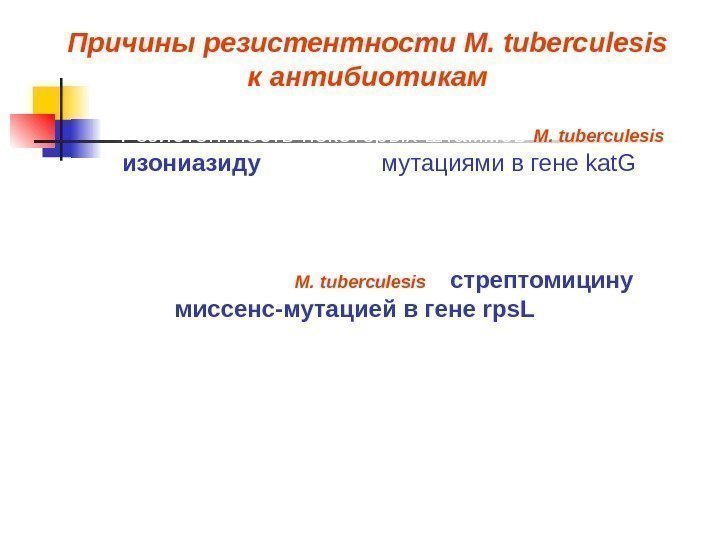  Резистентность некоторых штаммов M.  tuberculesis  к изониазиду связана с мутациями в