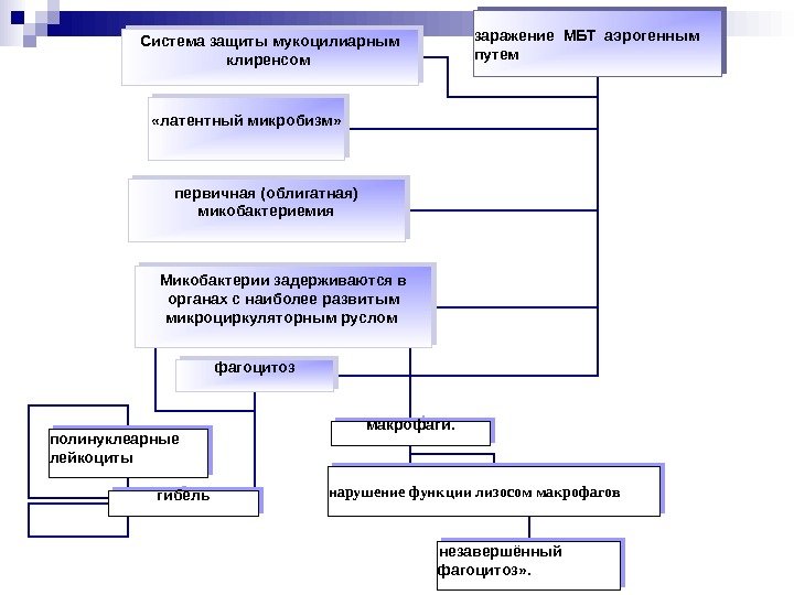 заражение МБТ аэрогенным путем. Система защиты мукоцилиарным клиренсом «латентный микробизм» первичная (облигатная) микобактериемия заражение МБТ аэрогенным путем. Система защиты мукоцилиарным клиренсом «латентный микробизм» первичная (облигатная) микобактериемия